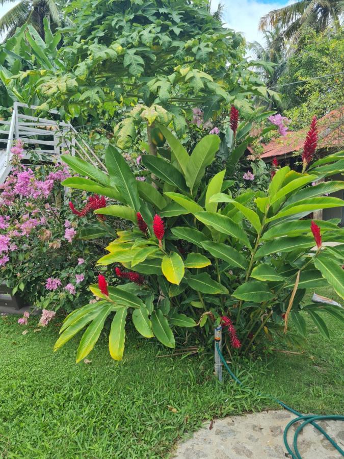 Villa Sonrisa Casa De Huespedes Las Terrenas Exteriér fotografie