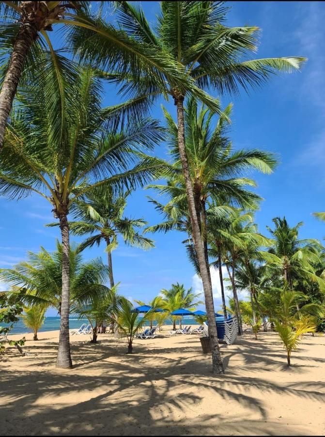 Villa Sonrisa Casa De Huespedes Las Terrenas Exteriér fotografie
