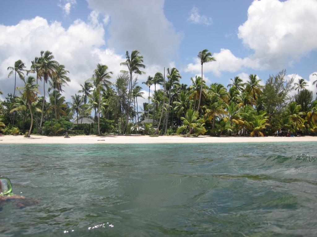 Villa Sonrisa Casa De Huespedes Las Terrenas Exteriér fotografie